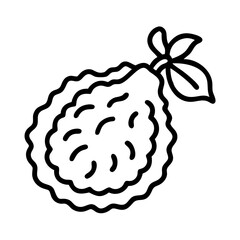 kaffir lime icon, fruits line art, fruits icon - simple black line art icon of kaffir lime perfect for logos, and fruits-themed designs.