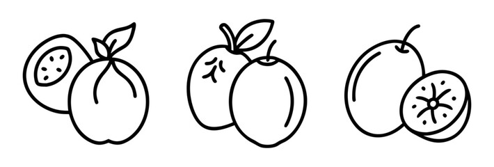 marula icon, fruits line art, fruits icon - simple black line art icon of marula perfect for logos, and fruits-themed designs.