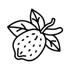 breadfruit icon, fruits line art, fruits icon - simple black line art icon of breadfruit perfect for logos, and fruits-themed designs.