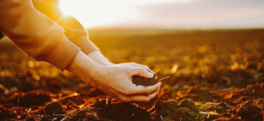 Expert hand of farmer checking soil health before growth a seed of vegetable or plant seedling at...