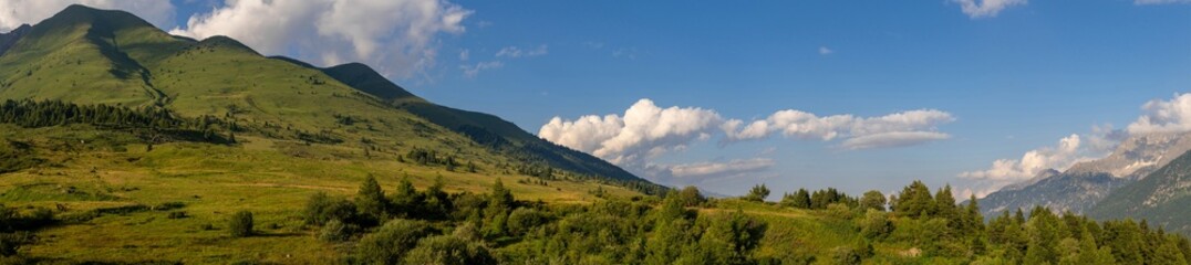 A stunning panoramic shot showcasing verdant hills with scattered trees and a bright blue sky adorned with fluffy clouds, capturing the beauty of nature on a clear day