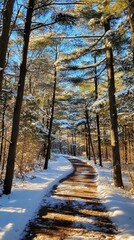 Snowy forest path with fir trees and blue sky
