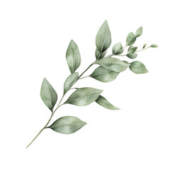 Fototapeta premium Vintage Spring Botanical Clipart Vector Illustration