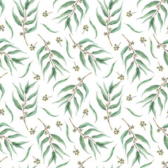 Eucalyptus seeded plant branch with leaves seamless pattern. Watercolor floral print with green leaf hand drawn illustration for fabric, textile, wallpaper. Herbal design on isolated white background 