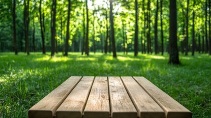 Fototapeta premium A wooden bench placed in the middle of a peaceful green forest with dappled sunlight shining through for International Day of Forests 
