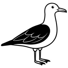 seagull bird black silhouette vector, Simple silhouette Design vector icon with white background.