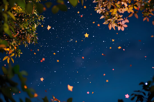Stars fall from the night sky
