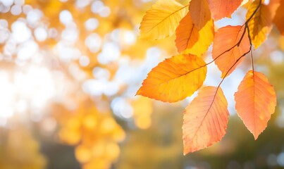 Beautiful autumn leaves frame, Generative AI