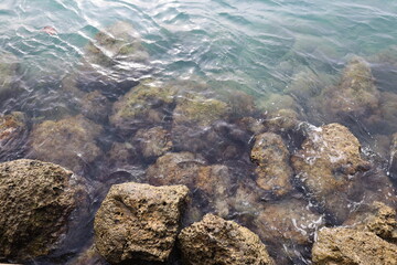 Big stones breakwater ocean water waves coral