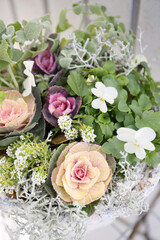 floral bricolage in soft pastel colors, wither pot gardening