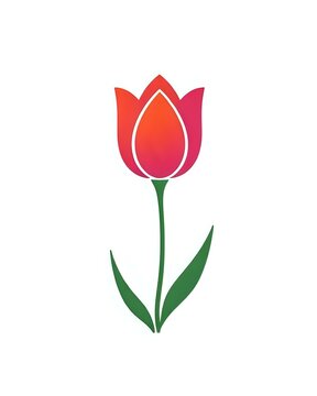 dessin vectoriel d'une tulipe en fleur