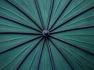 A close-up of the veins on an umbrella leaf, capturing their intricate patterns and textures