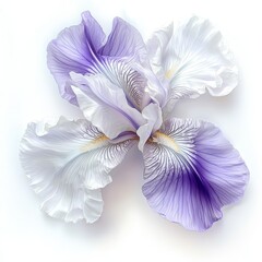 Beautifully Arranged Floral Composition Featuring Delicate Purple and White Petals