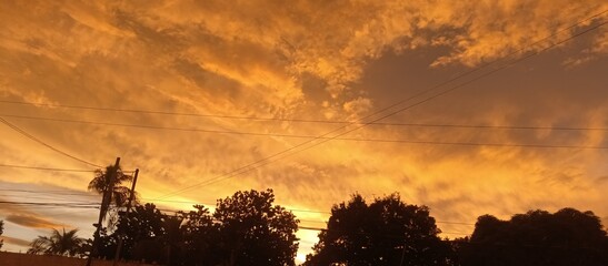 sunset in the forest © Boykow