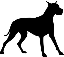 Fototapeta premium Vector silhouette of Great Dane on white background. Symbol of pet and breed. Transparent background PNG cutout.