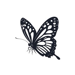 Fototapeta premium Elegant silhouette of a butterfly in flight.