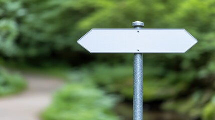 Blank Directional Sign in a Lush Green Forest Pathway