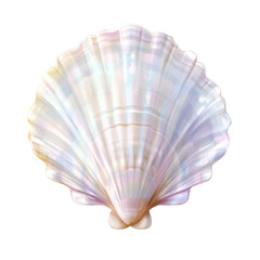 Fototapeta premium scallop shell isolated on white transparent background