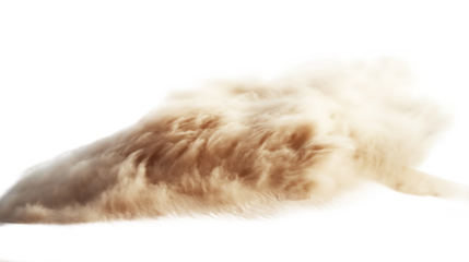 Stormy sand clouds with air waves on transparent background