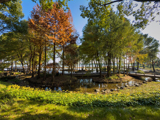 Tranquil Autumn Landscape with Reflections in a Peaceful Park Setting