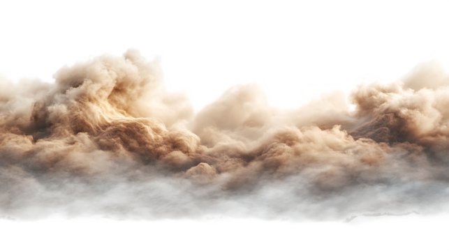 Sand flying explosion, Golden grain wave explode. Abstract cloud fly. Yellow colored sand splash throwing in Air. on transparent background