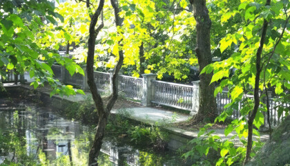 Serene Pondside Stroll: A Tranquil Garden Escape