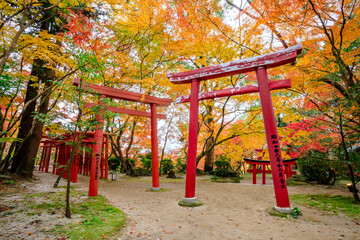 秋の竈門神社　式部稲荷社　福岡県太宰府市　Kamado Shrine in autumn. Shikibu Inari Shrine. Fukuoka Pref, Dazaifu City.
