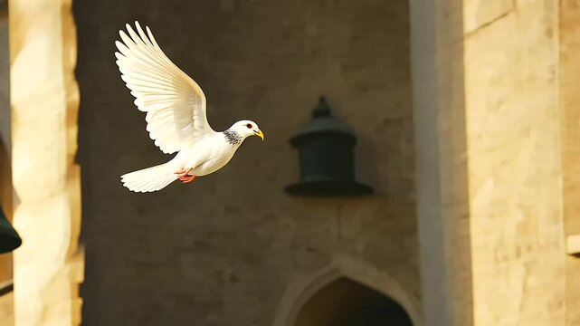 Dove in Flight Near Historic Church Bell Tower