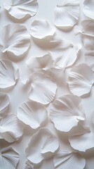 Obraz premium Delicate White Petals Arrangement: A Study in Floral Beauty