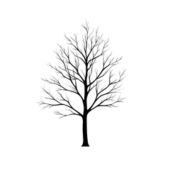 Obraz premium Black silhouette of a bare tree with branches.
