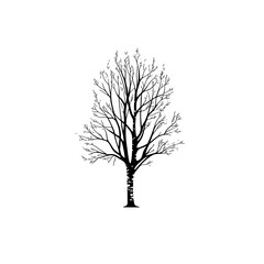 Obraz premium A minimalist black tree silhouette on a white background.