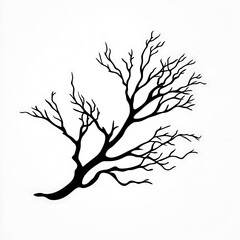 Obraz premium Black silhouette of a tree branch.