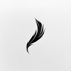 Fototapeta premium A stylized black feather on a white background.