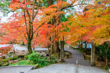 秋の竈門神社　福岡県太宰府市　Kamado Shrine in autumn. Fukuoka Pref, Dazaifu City.