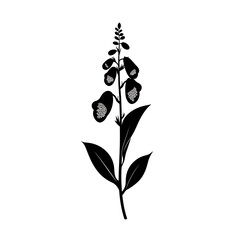 Black silhouette of a flowering plant.