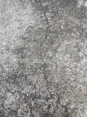 Moss grows in cracks on the concrete floor