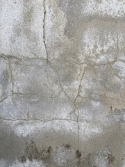 Moss grows in cracks on the concrete floor