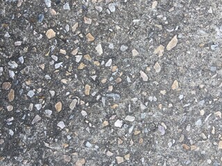 Moss grows in cracks on the concrete floor