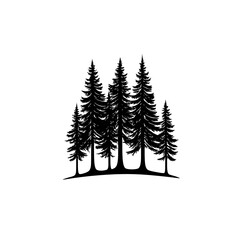 Obraz premium Silhouette of five evergreen trees on a hill.
