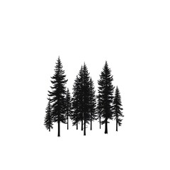 Obraz premium Silhouette of evergreen trees on white background.