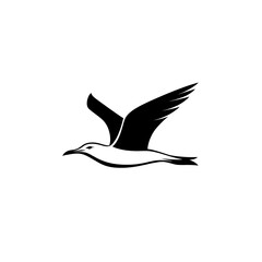 Obraz premium Silhouette of a seagull in flight.