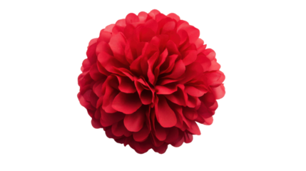 Pom pom transparent background