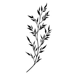 Fototapeta premium Simple black line drawing of a leafy branch.