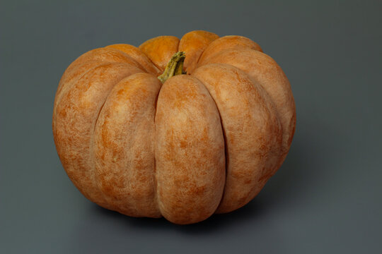 orange pumpkin on a gray background close-up