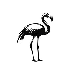 Fototapeta premium Black and white illustration of a flamingo.