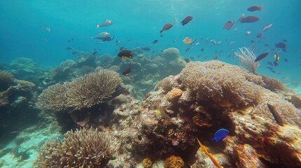 Naklejka premium Vibrant Underwater Coral Reef Scene