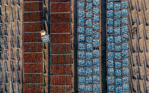 Aerial view of rows of drying fish and squid with fishermen working under the sun, Long Hai, Vietnam.