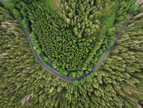 Aerial view of a serene highway surrounded by lush forest and trees, Nova Ves, Czech Republic.