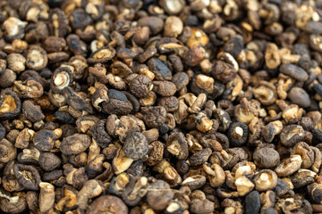 Close-Up of Diverse Dried Seeds for Culinary and Agricultural Use