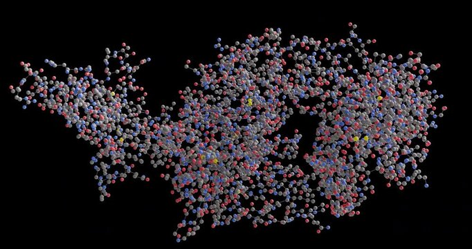 Dostarlimab molecule, moving 3D model of antineoplastic agents, looped video on a black background